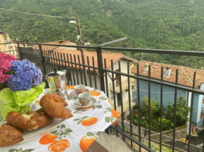 Casa vacanze il pettirosso.